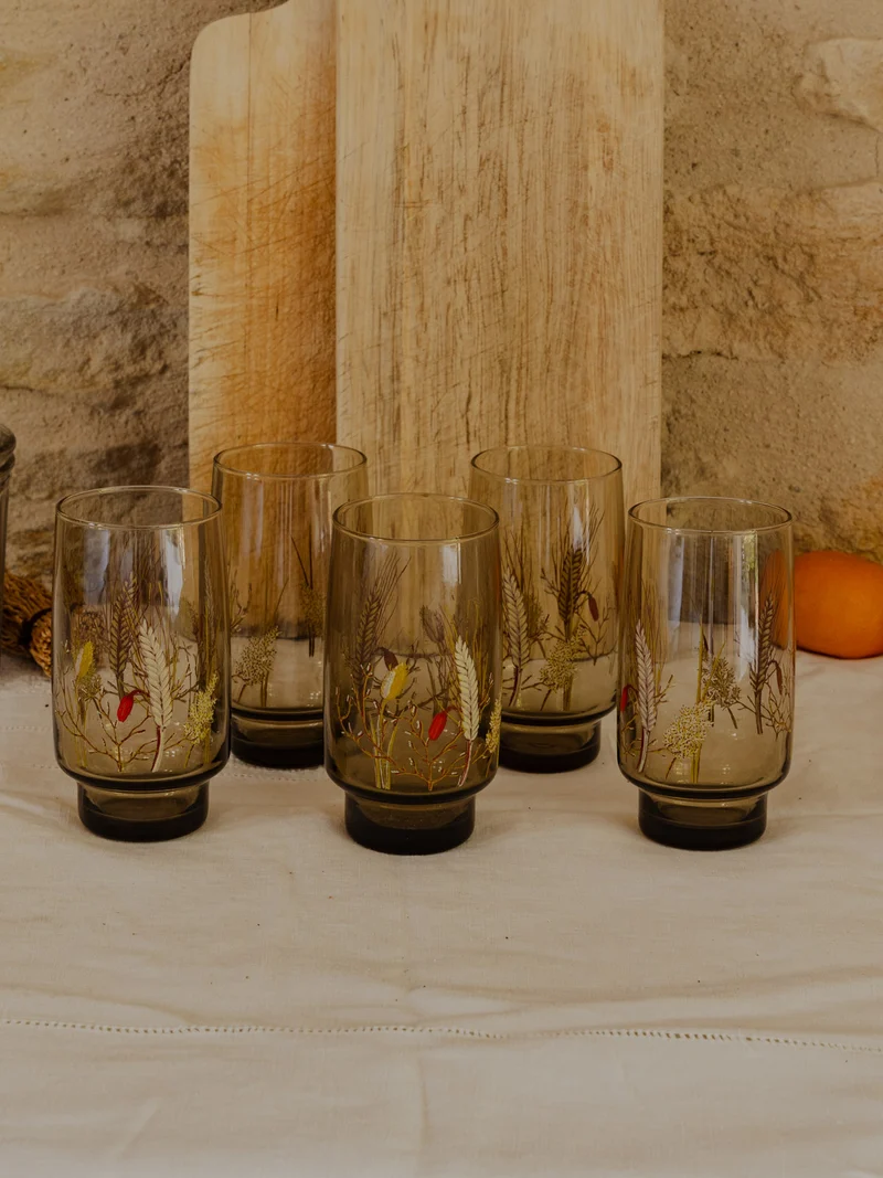 Eugène, le lot de 5 verres en verre fumé N°230
