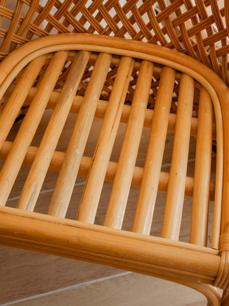 Ernest, le fauteuil en rotin au tissu exotique N°1006