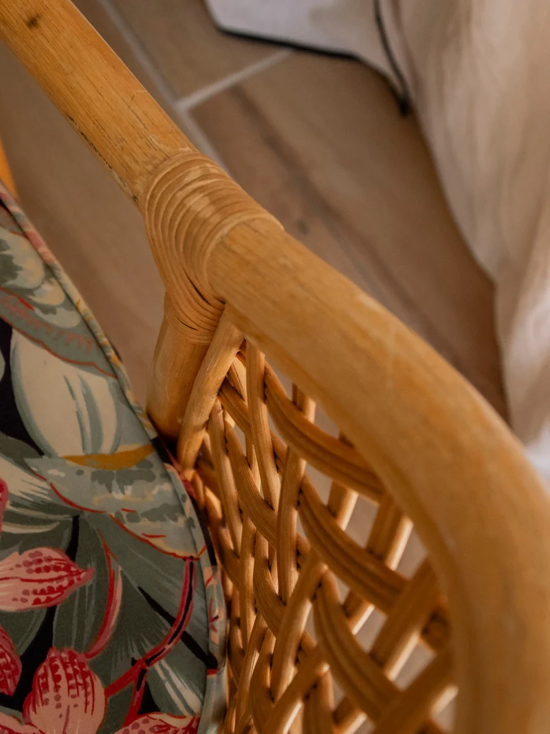 Ernest, le fauteuil en rotin au tissu exotique N°1006