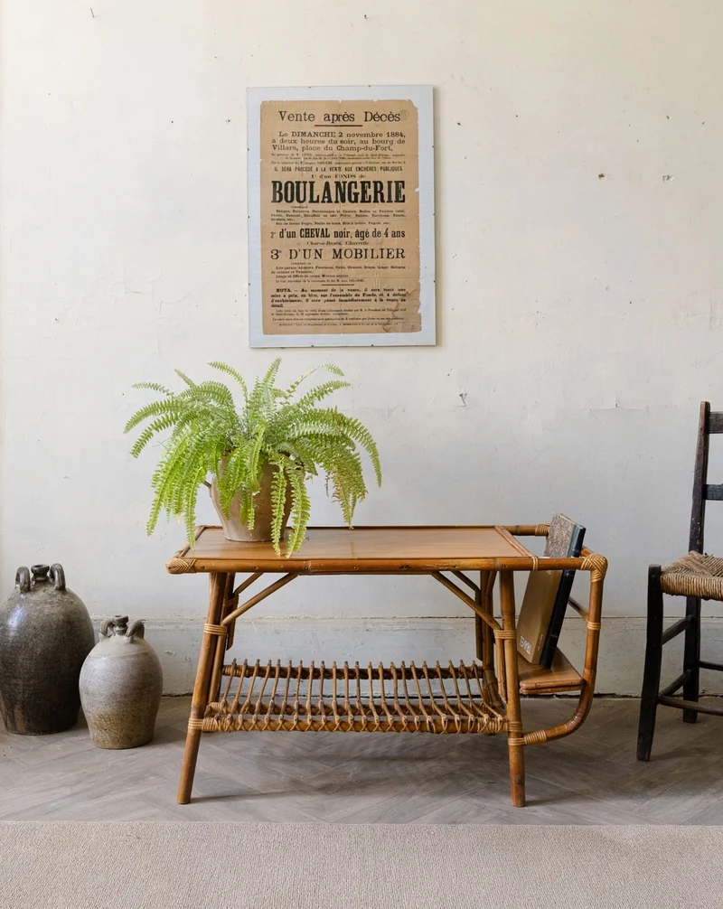 Léonie, la table basse porte-revue N°984