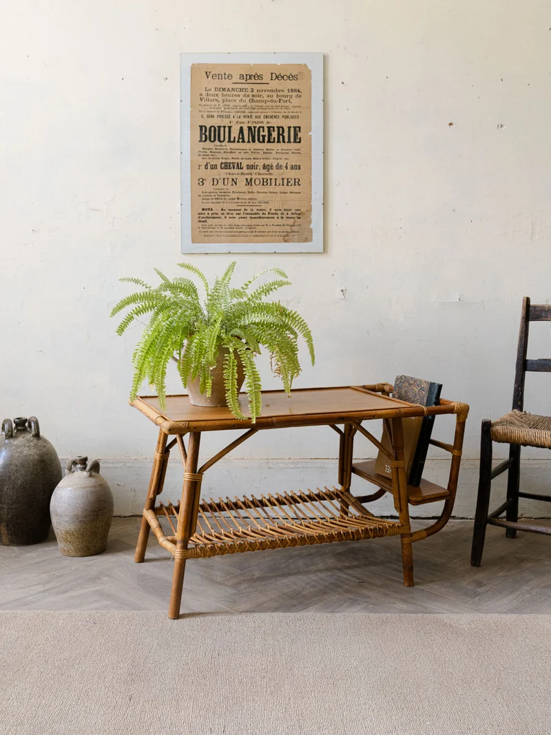 Léonie, la table basse porte-revue N°984