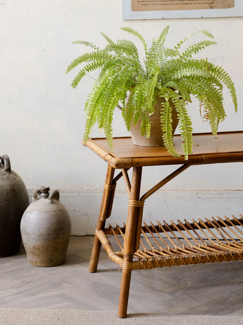 Léonie, la table basse porte-revue N°984