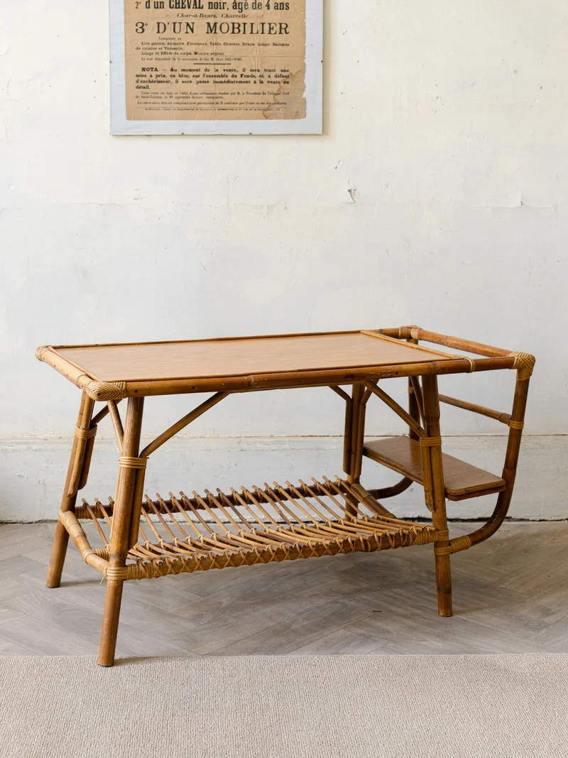 Léonie, la table basse porte-revue N°984