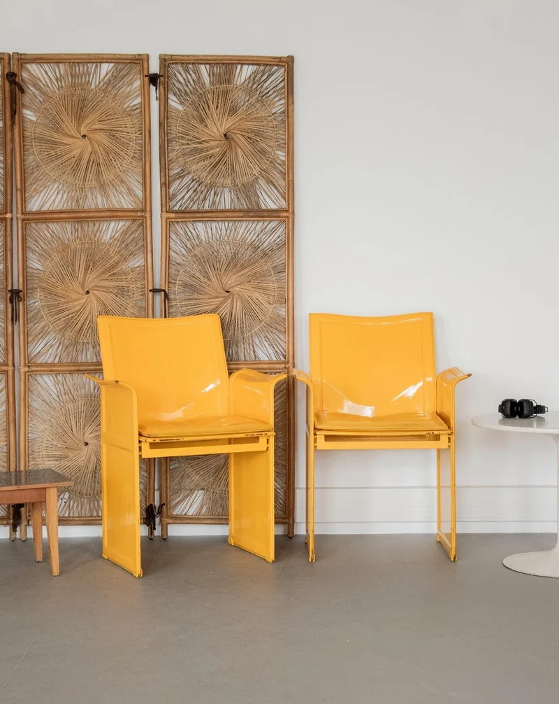 Jakob, la paire de fauteuils jaunes vernies N°1267