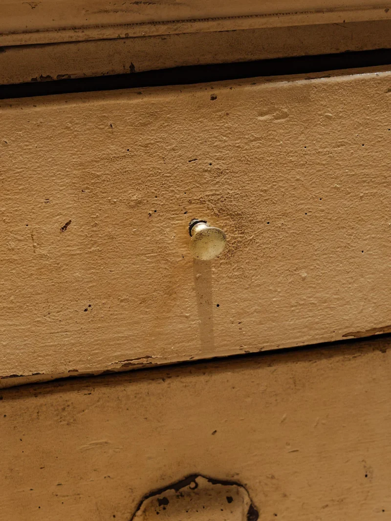 Fernand, le meuble de métier en bois beige N°339