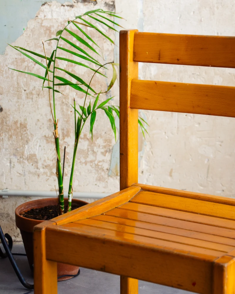 Alma, la chaise en bois clair minimaliste N°1539