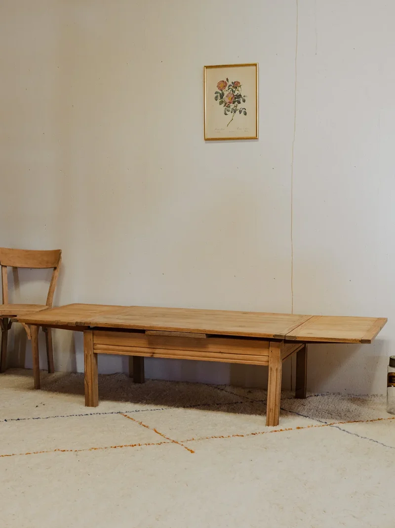 Léonie, la table basse en bois N°898