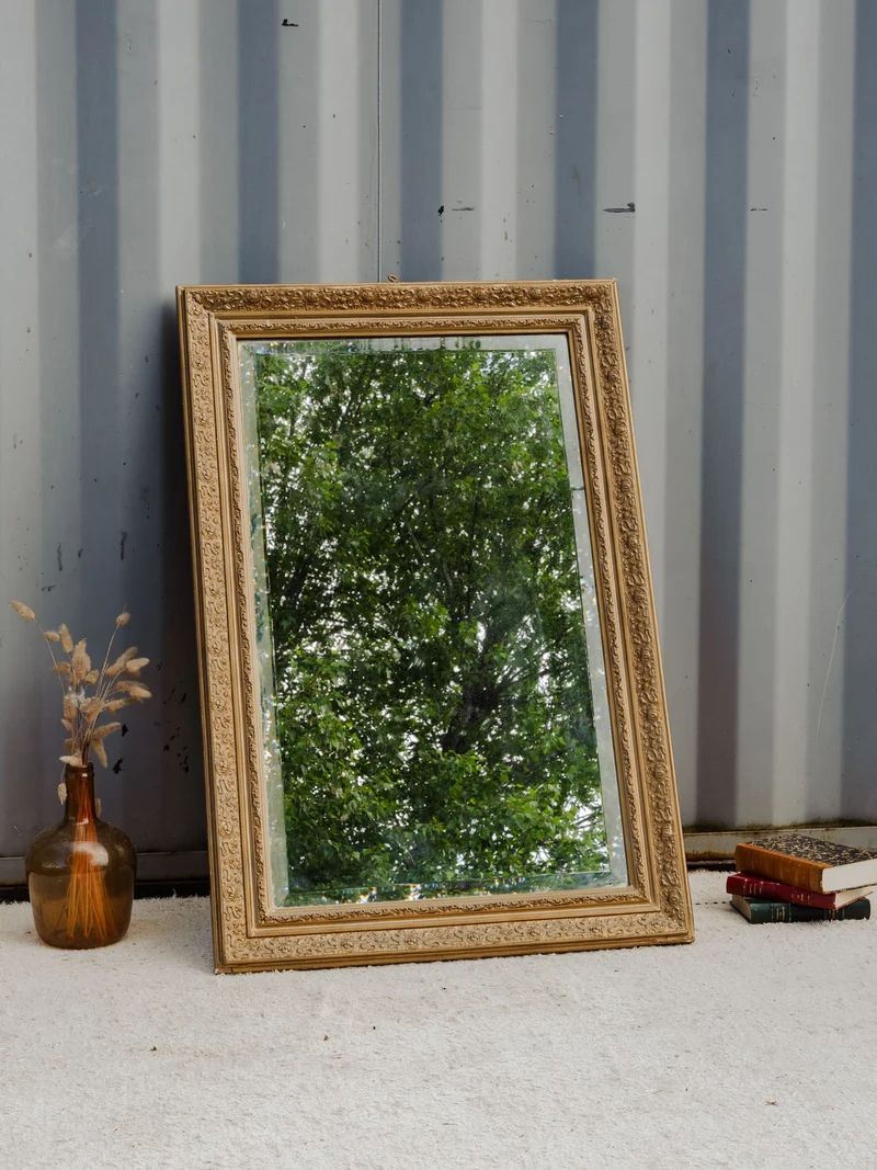 Georges, le grand miroir doré N°1166