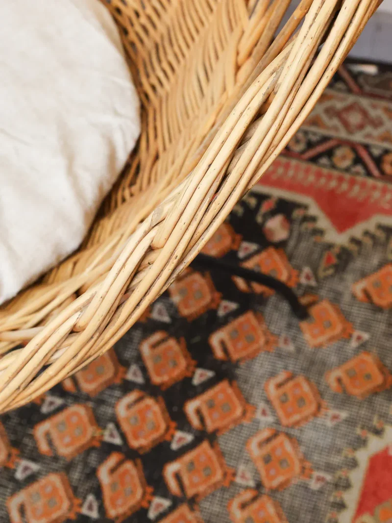 Ernest, le fauteuil en rotin vintage N°855