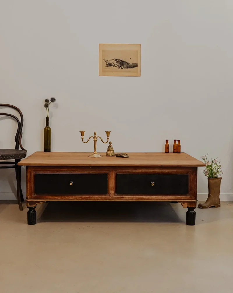 Léonie, la table basse en bois N°882