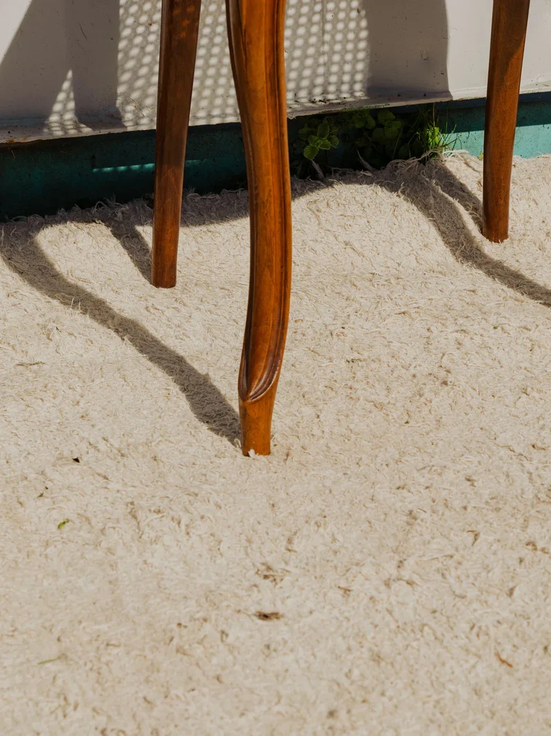 Claude, la paire de chaises en bois N°1068