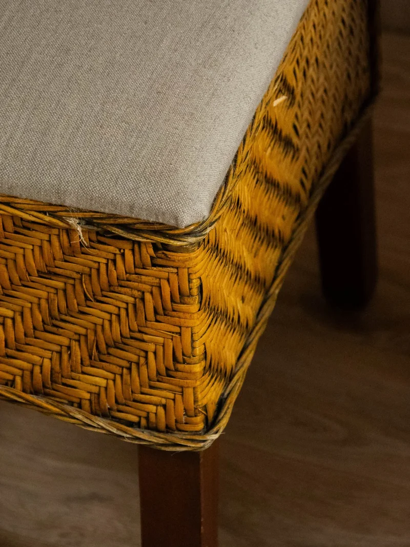 Claude, la paire de chaises en rotin tressé N°1036