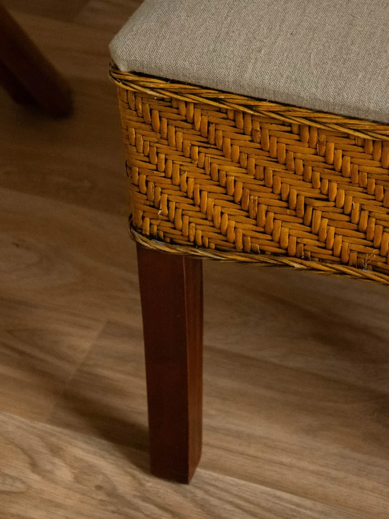 Claude, la paire de chaises en rotin tressé N°1036