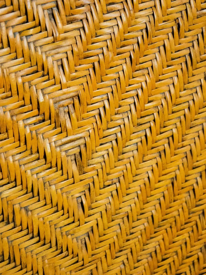 Claude, la paire de chaises en rotin tressé N°1036