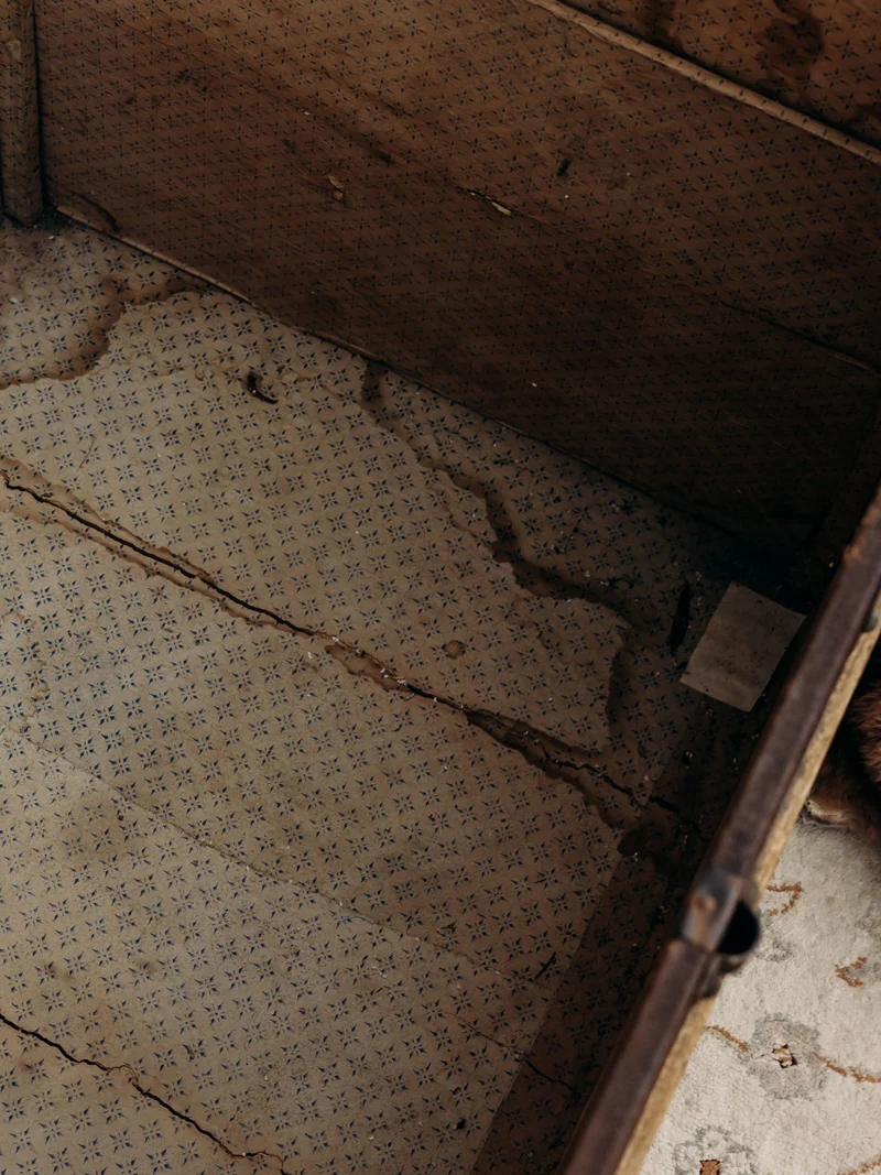 Lucienne, la grande malle en bois N°267