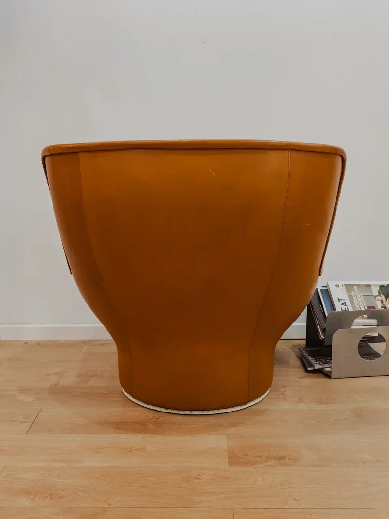 Jakob, le fauteuil en cuir pivotant N°860