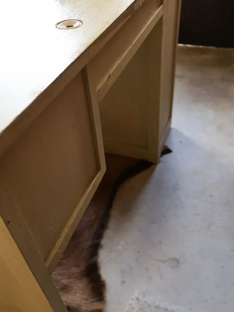 Edouard, le bureau écritoire en bois N°535