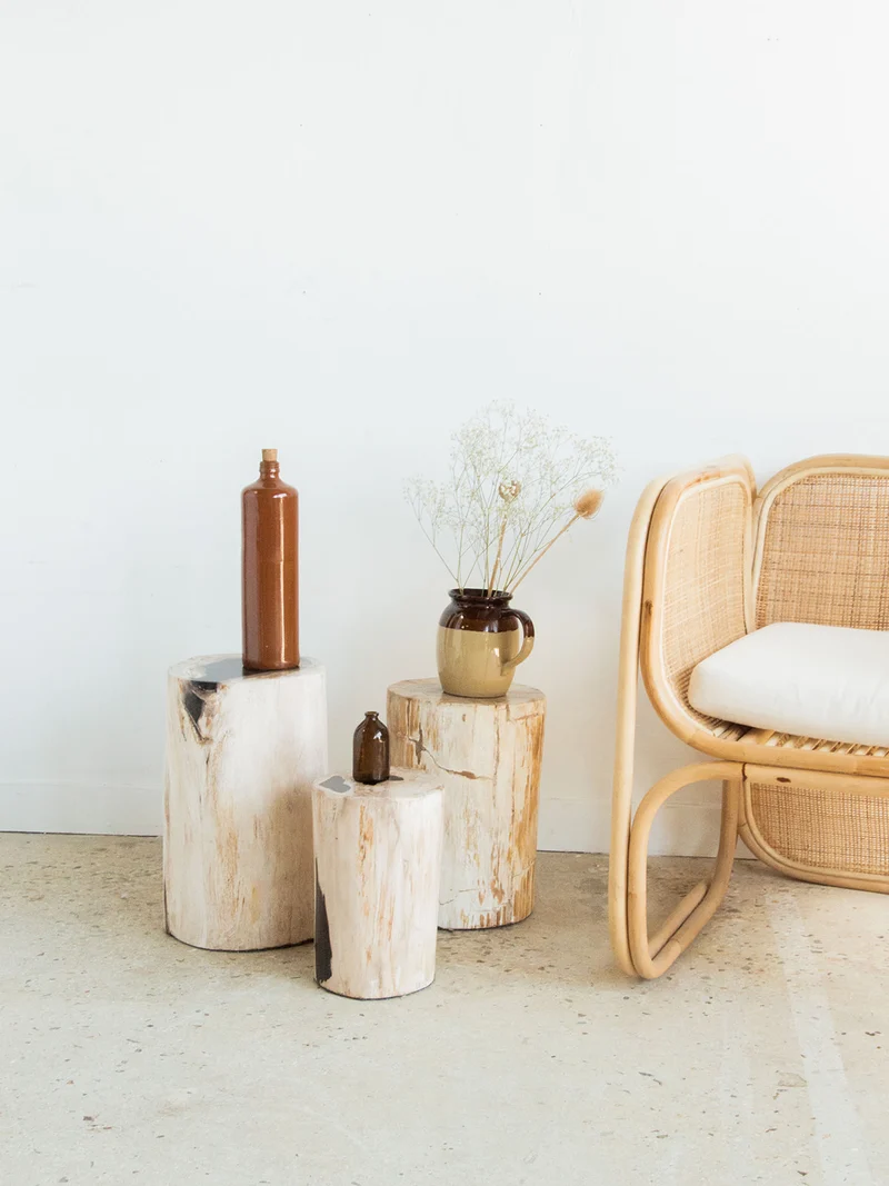 Francine, la table d'appoint en bois pétrifié N°399