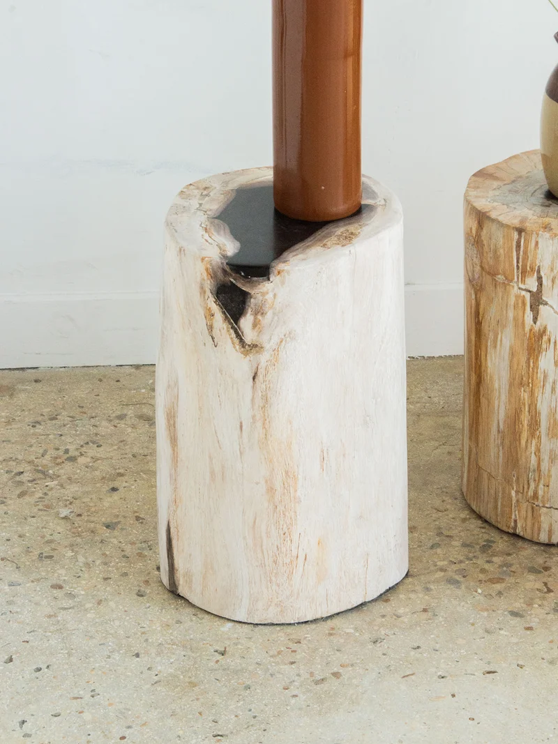 Francine, la table d'appoint en bois pétrifié N°399