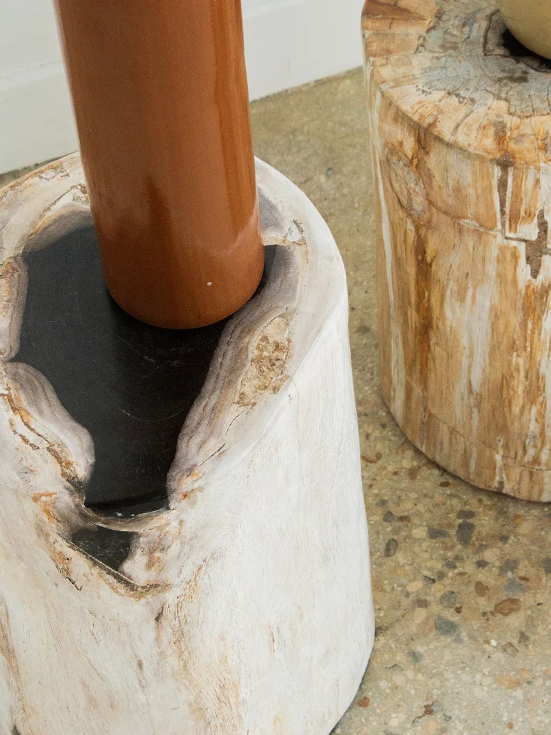 Francine, la table d'appoint en bois pétrifié N°399
