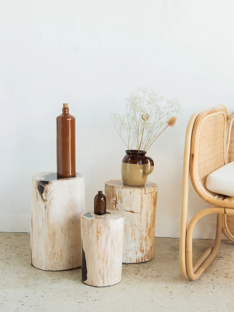 Francine, la table d'appoint en bois pétrifié N°399