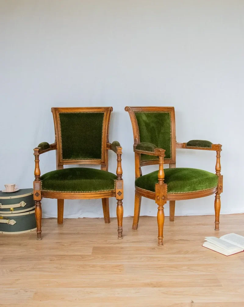 Ernest, la paire de fauteuils en velours N°649