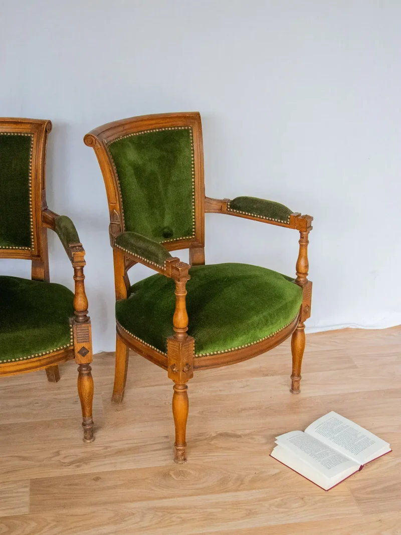 Ernest, la paire de fauteuils en velours N°649
