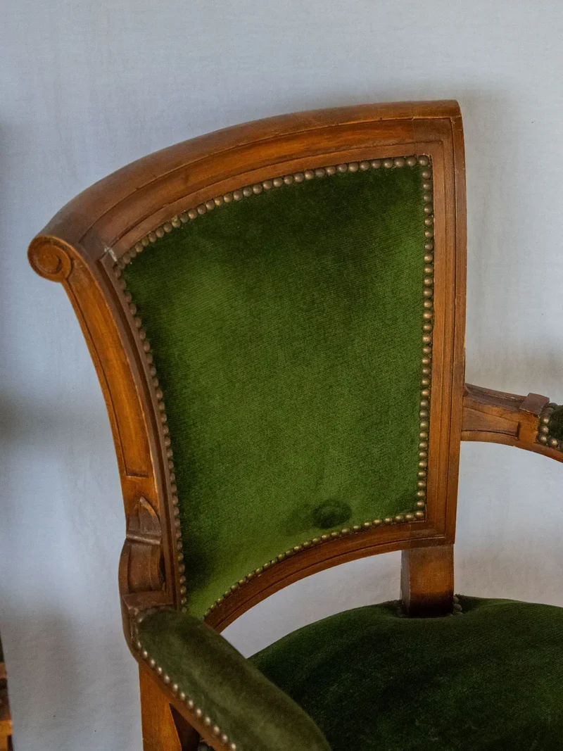 Ernest, la paire de fauteuils en velours N°649