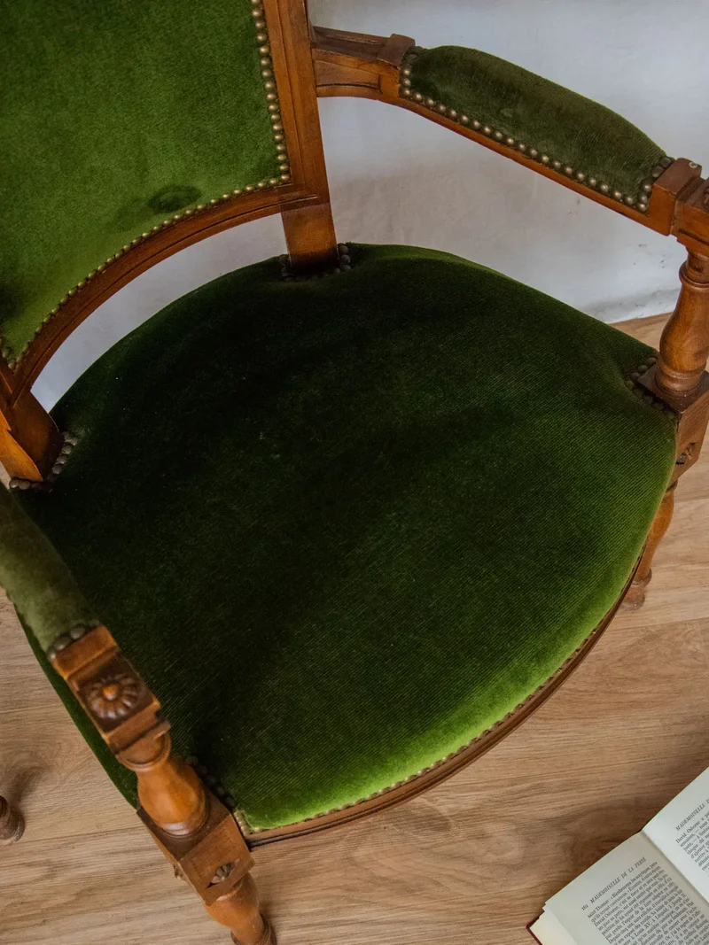 Ernest, la paire de fauteuils en velours N°649
