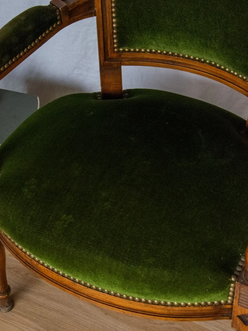 Ernest, la paire de fauteuils en velours N°649