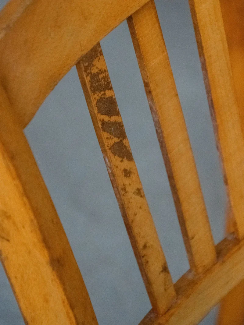 Claude, le lot de 6 chaises en bois N°839