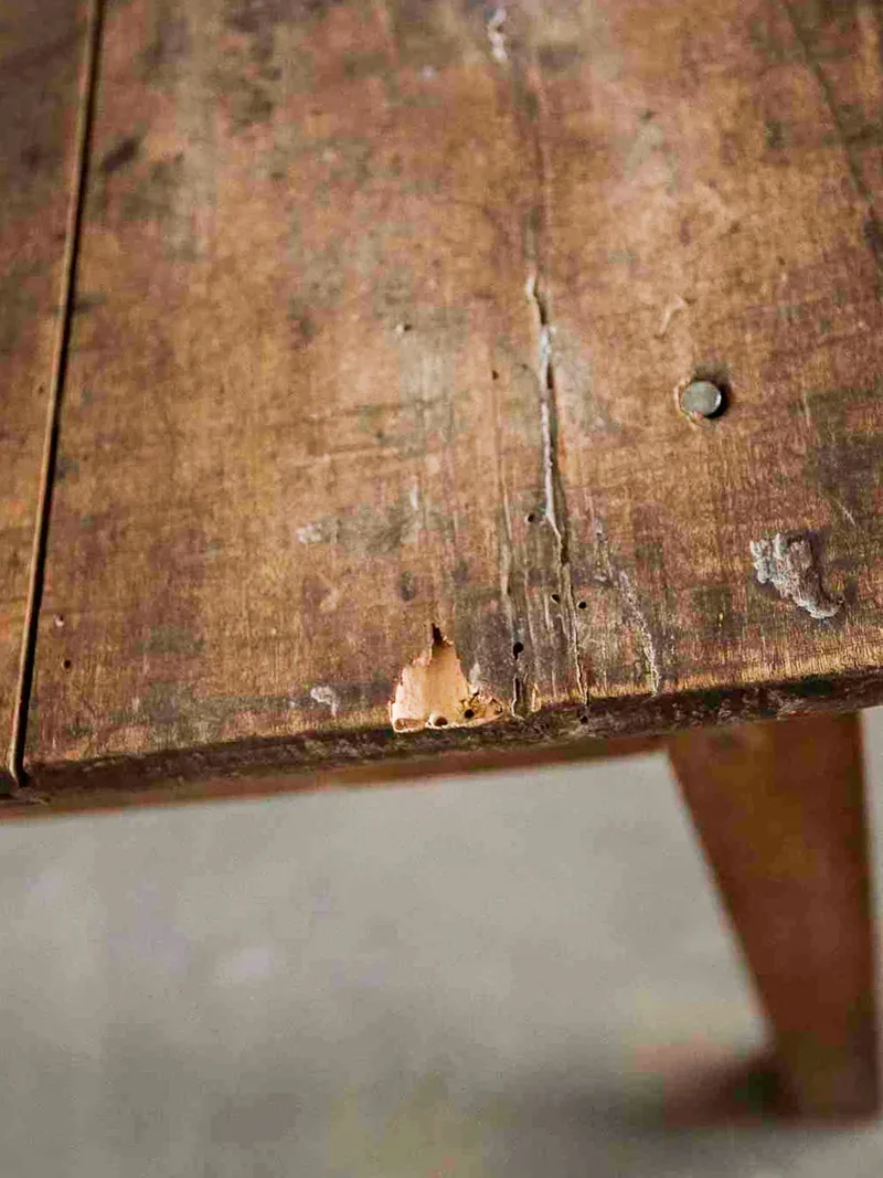 Léonie, la table basse en bois N°320
