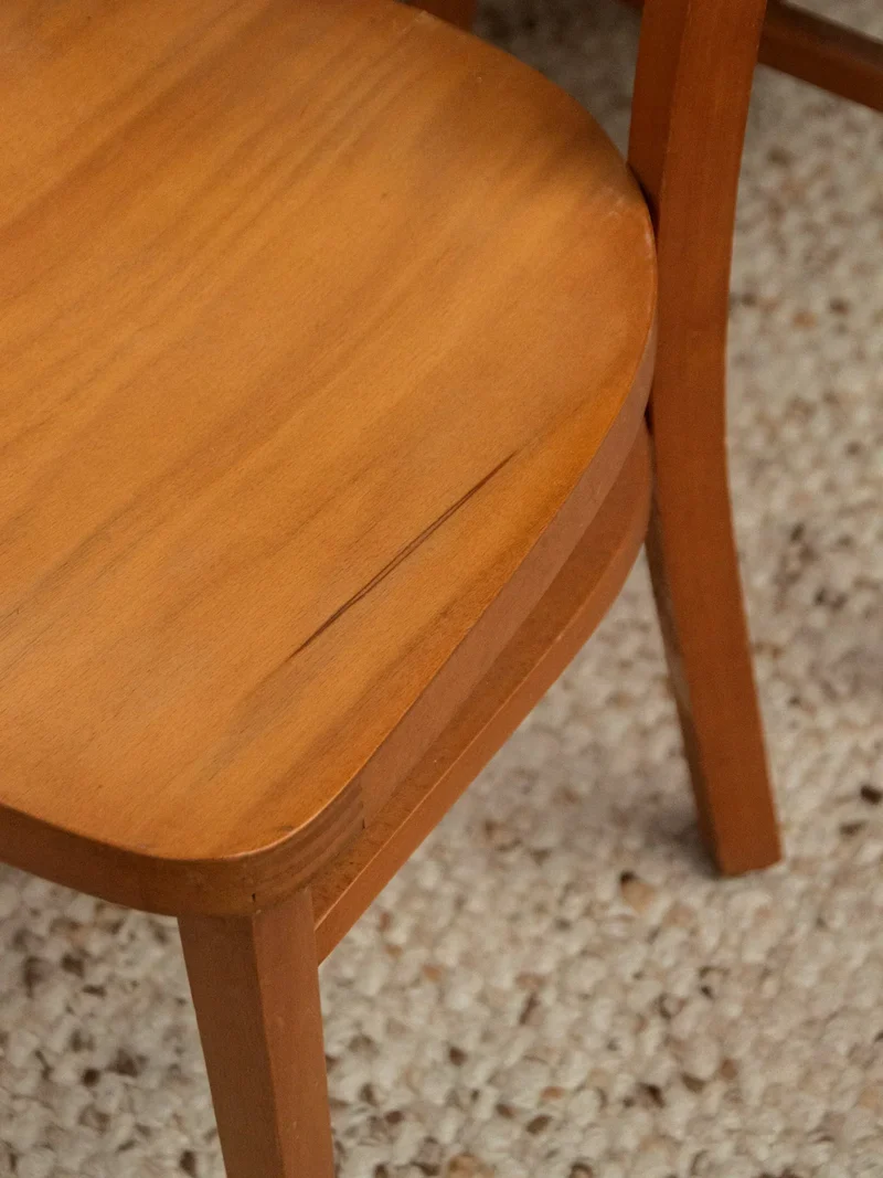 Claude, la paire de chaises Thonet N°1020