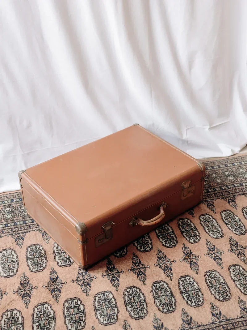 Lucienne, la malle marron cartonnée N°195