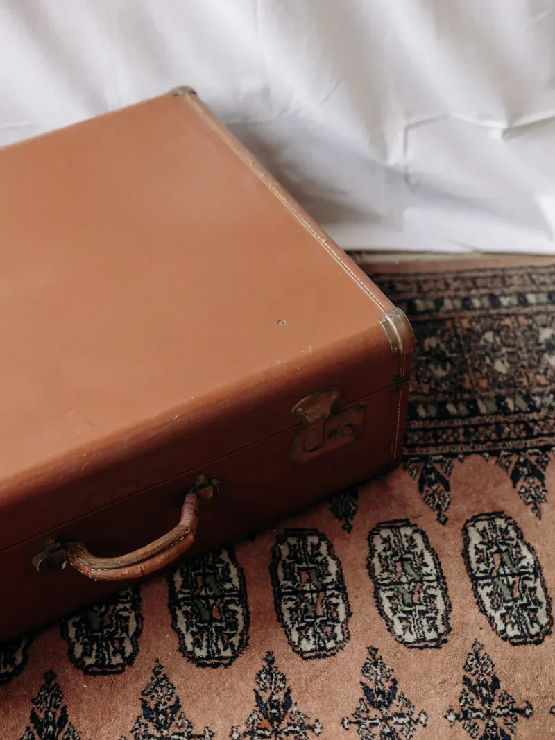Lucienne, la malle marron cartonnée N°195
