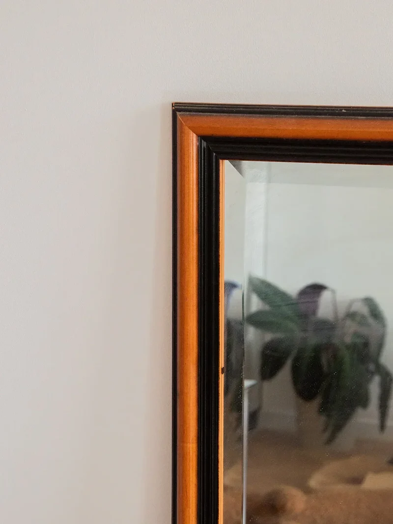 Igor, le miroir en bois N°774