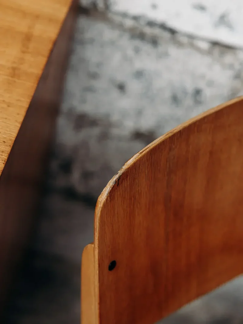 Claude, la chaise Thonet bicolore N°505