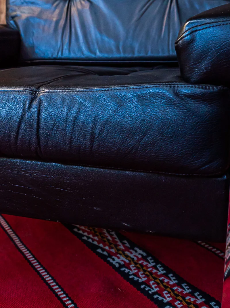 Jakob, le grand fauteuil en cuir N°667