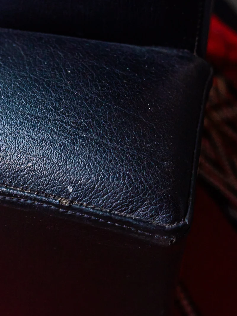 Jakob, le grand fauteuil en cuir N°667