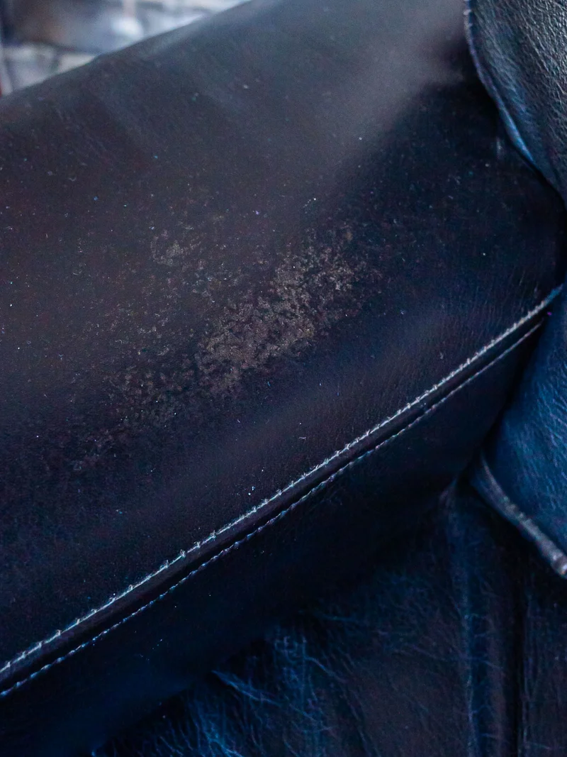 Jakob, le grand fauteuil en cuir N°667