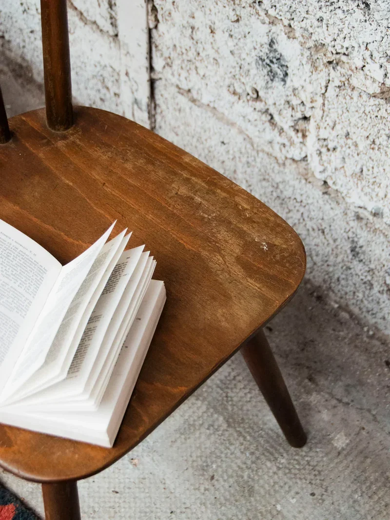 Claude, la paire de chaises en bois N°723