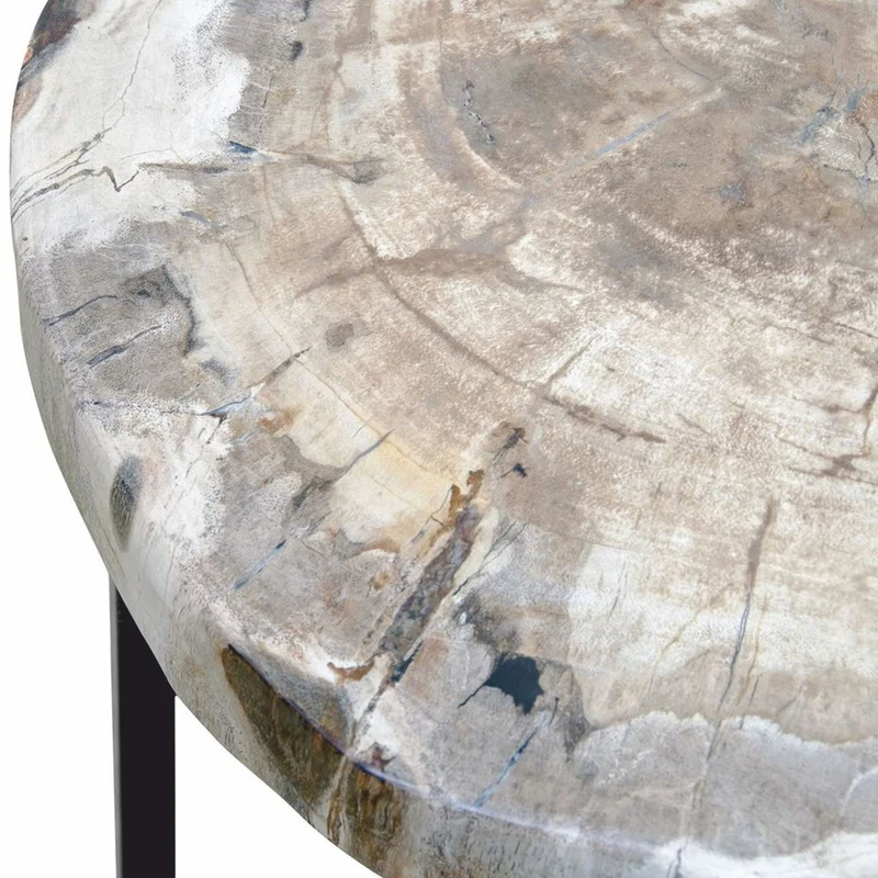 Casa Padrino Luxus Beistelltisch mit versteinerter Holz Tischplatte H. 45 cm - Luxus Möbel