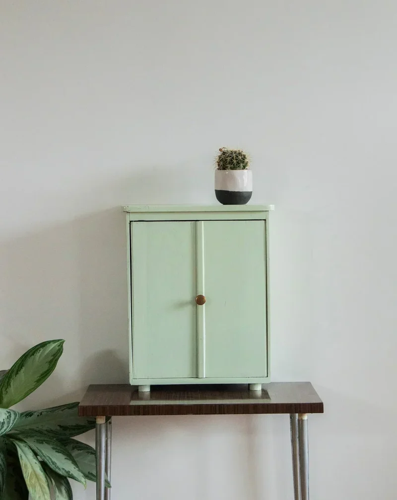 Gaëlle, l'armoire à pharmacie N°202