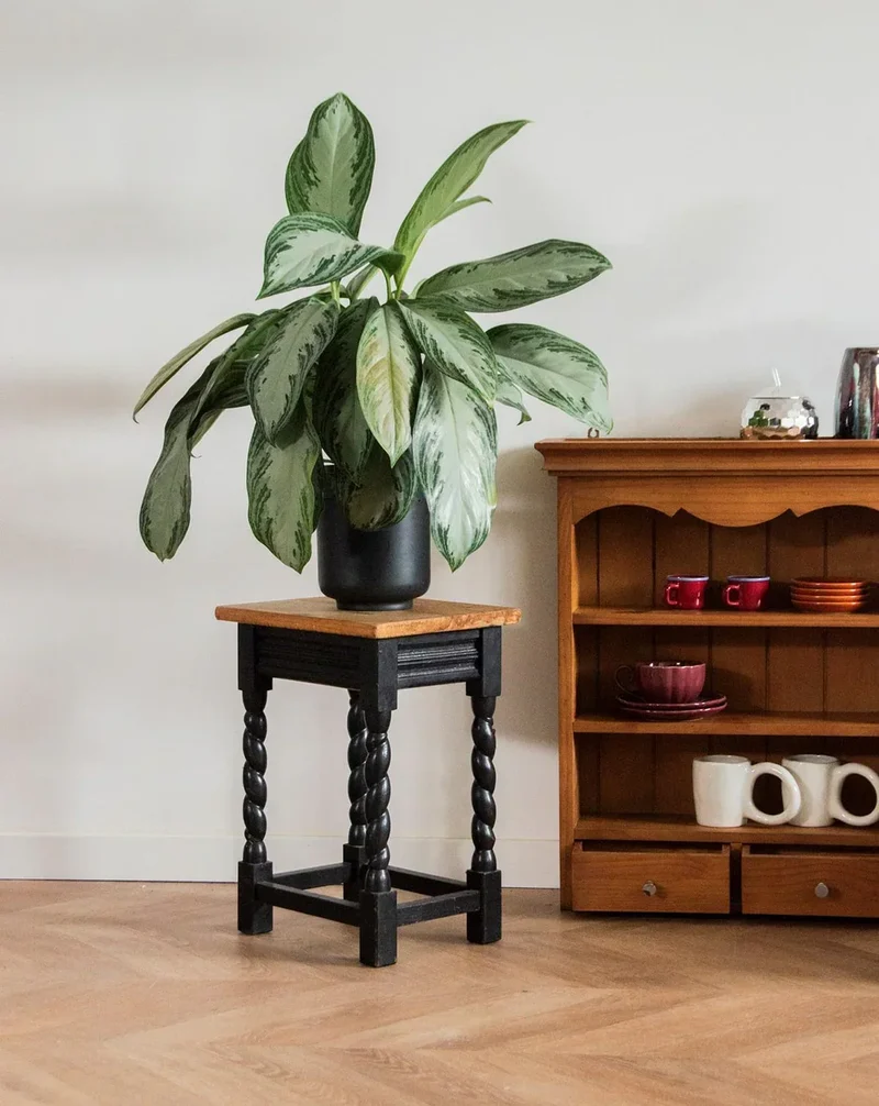 Regis, le tabouret en bois N°672