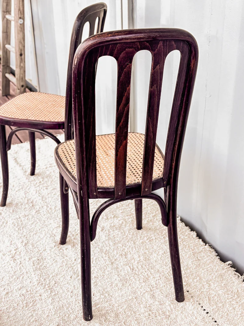Claude, la paire de chaises en bois N°608