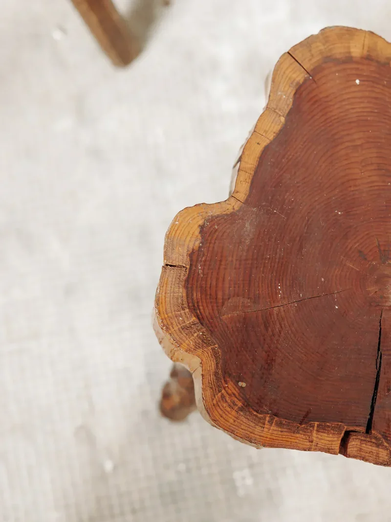 Regis, le tabouret bicolore N°484