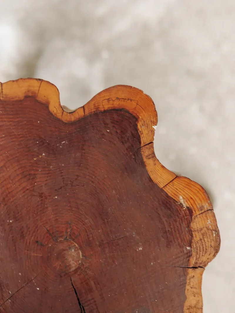 Regis, le tabouret bicolore N°484