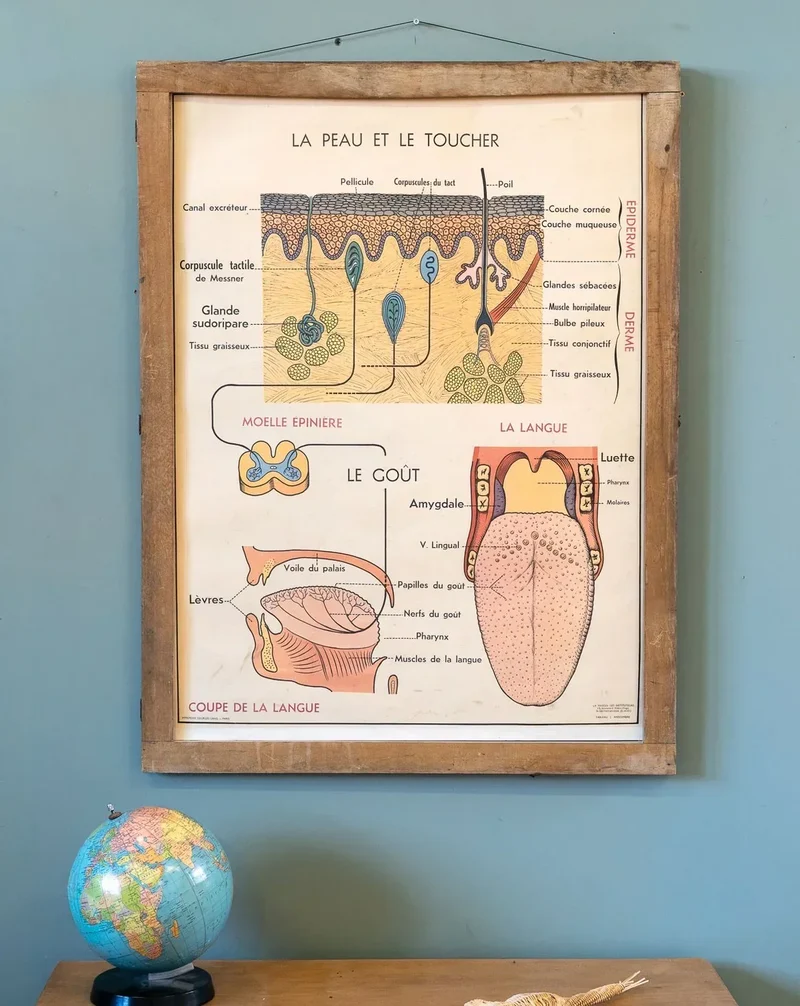 Nina, l'illustration d'apprentissage N°204