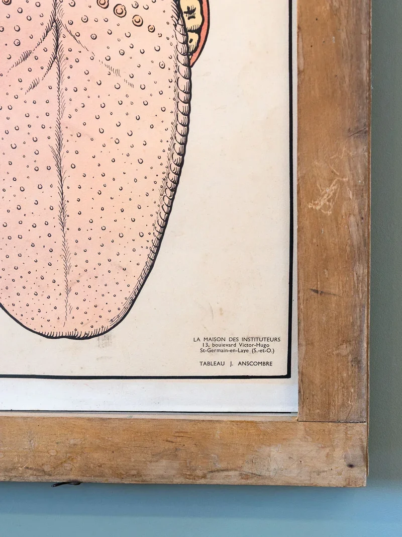 Nina, l'illustration d'apprentissage N°204