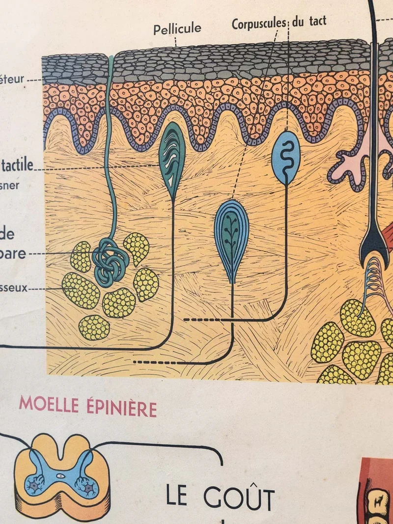 Nina, l'illustration d'apprentissage N°204